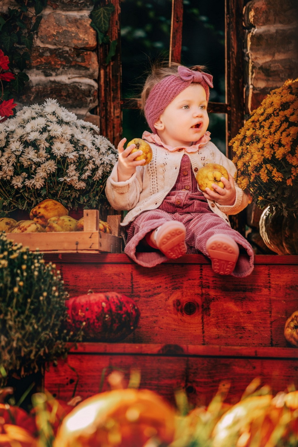 JESENJE FOTOGRAFISANJE. Fotografi iz Backog Petrovca David i Andrea Stojanovic