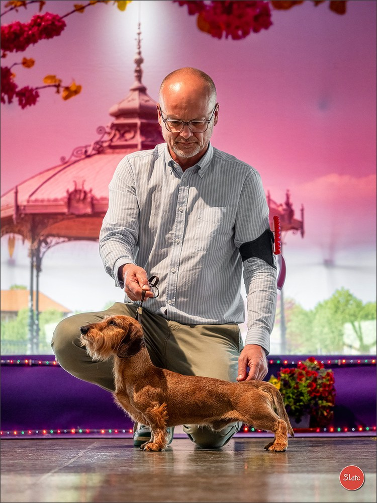 Expo canine 🇫🇷 Valence 03-04/05/2025. Photographe à Strasbourg | Portraits, Studio, Enfants, Événements