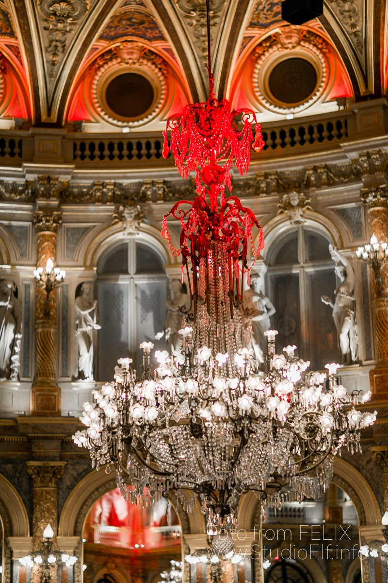 🏀 ALBUM " ÉVÉNEMENTS ». Félix - Photographe professionnel à Paris
