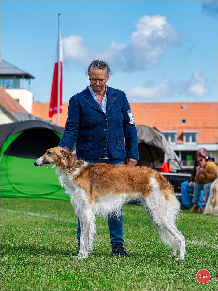 Dog Show Rieden 🇩🇪 16-18/05/2025. Photographe à Strasbourg | Portraits, Studio, Enfants, Événements