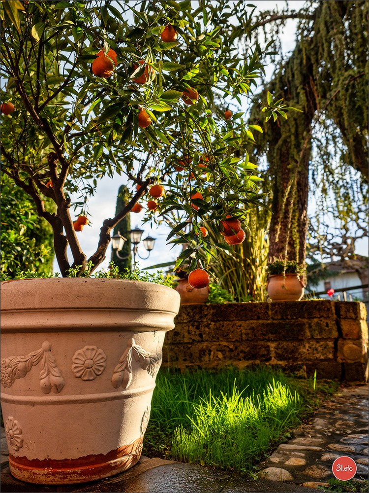 San Marino - Catolica 🇮🇹. Photographe à Strasbourg | Portraits, Studio, Enfants, Événements