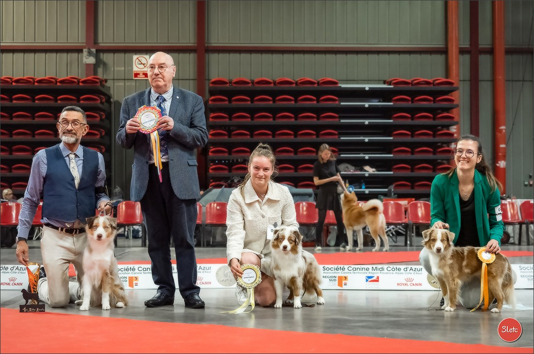 Expo canine 🇫🇷 Martigues  19-20/04/2025. Photographe à Strasbourg | Portraits, Studio, Enfants, Événements