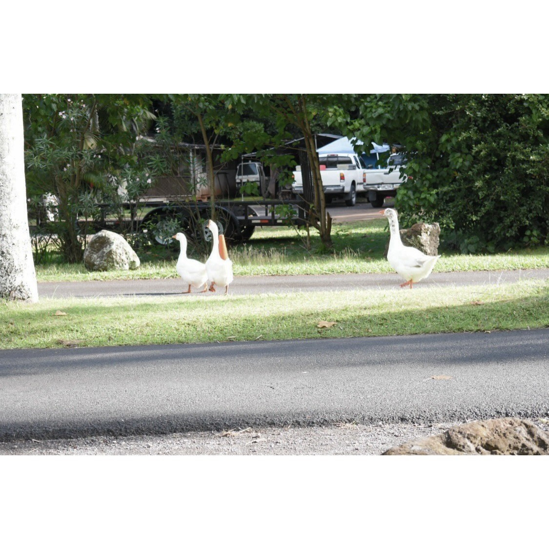 Lens Work From The Field 7