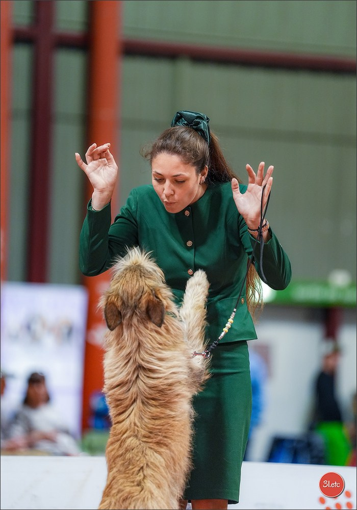 Expo canine 🇫🇷 Martigues 18-19/04/2026