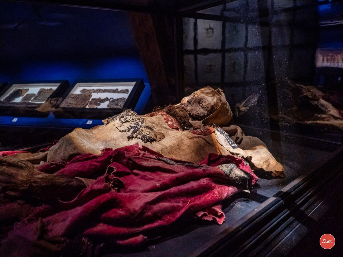 Chateauroux 🇫🇷. Photographe à Strasbourg | Portraits, Studio, Enfants, Événements