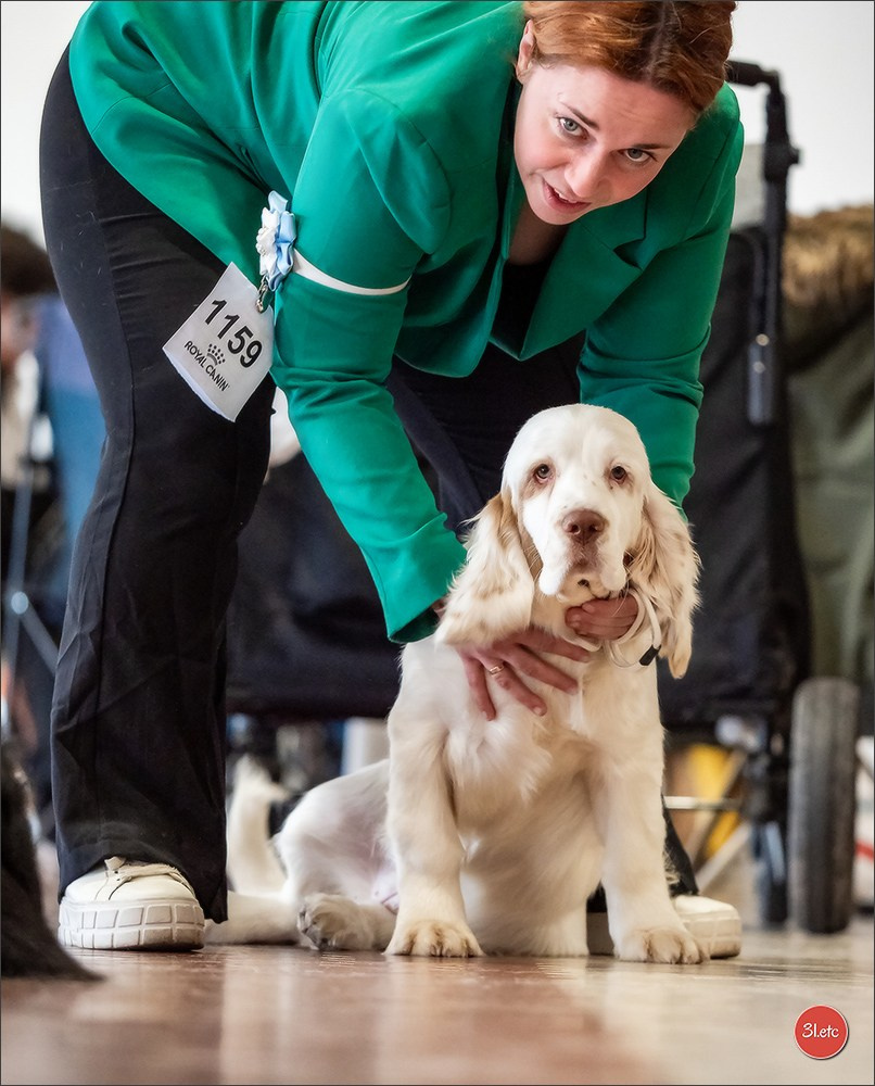 Expo canine  🇫🇷  Angers  22-23/03/2025. Photographe à Strasbourg | Portraits, Studio, Enfants, Événements
