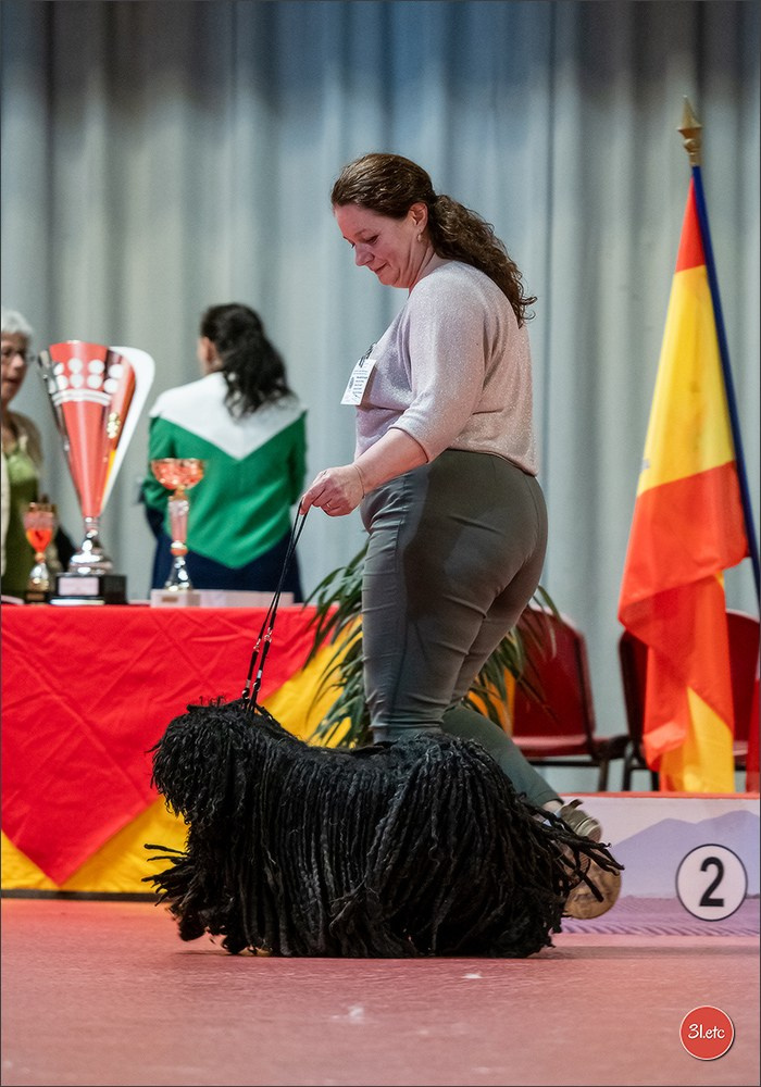 Expo canine 🇫🇷 Martigues  19-20/04/2025. Photographe à Strasbourg | Portraits, Studio, Enfants, Événements