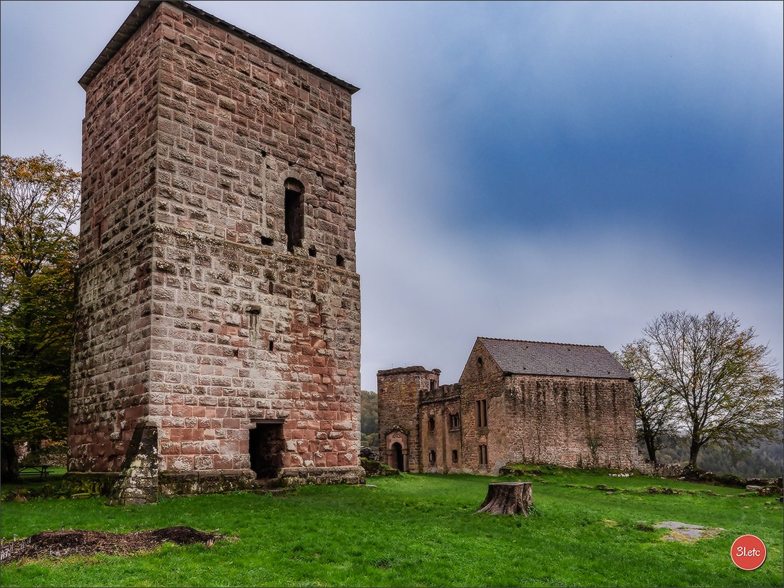 Ретрит в Эльзасе с Марией Ланг. Photographe à Strasbourg | Portraits, Studio, Enfants, Événements