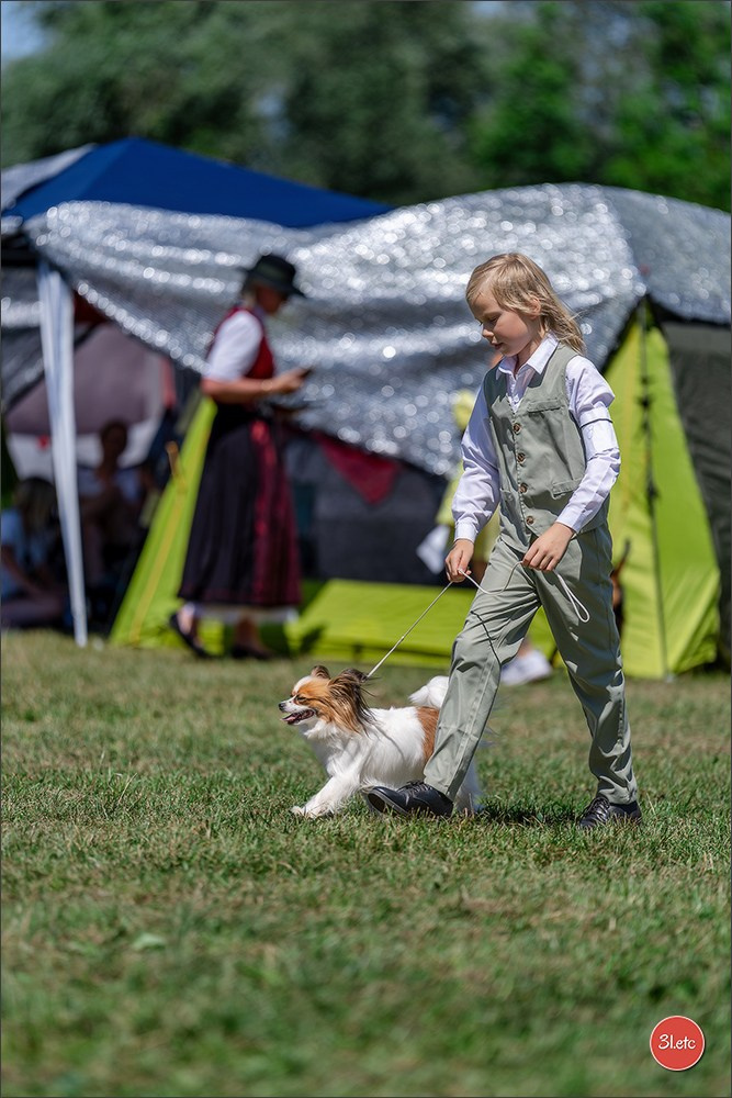 Dog Show - Hallbergmoos 🇩🇪 11-12/07/2026