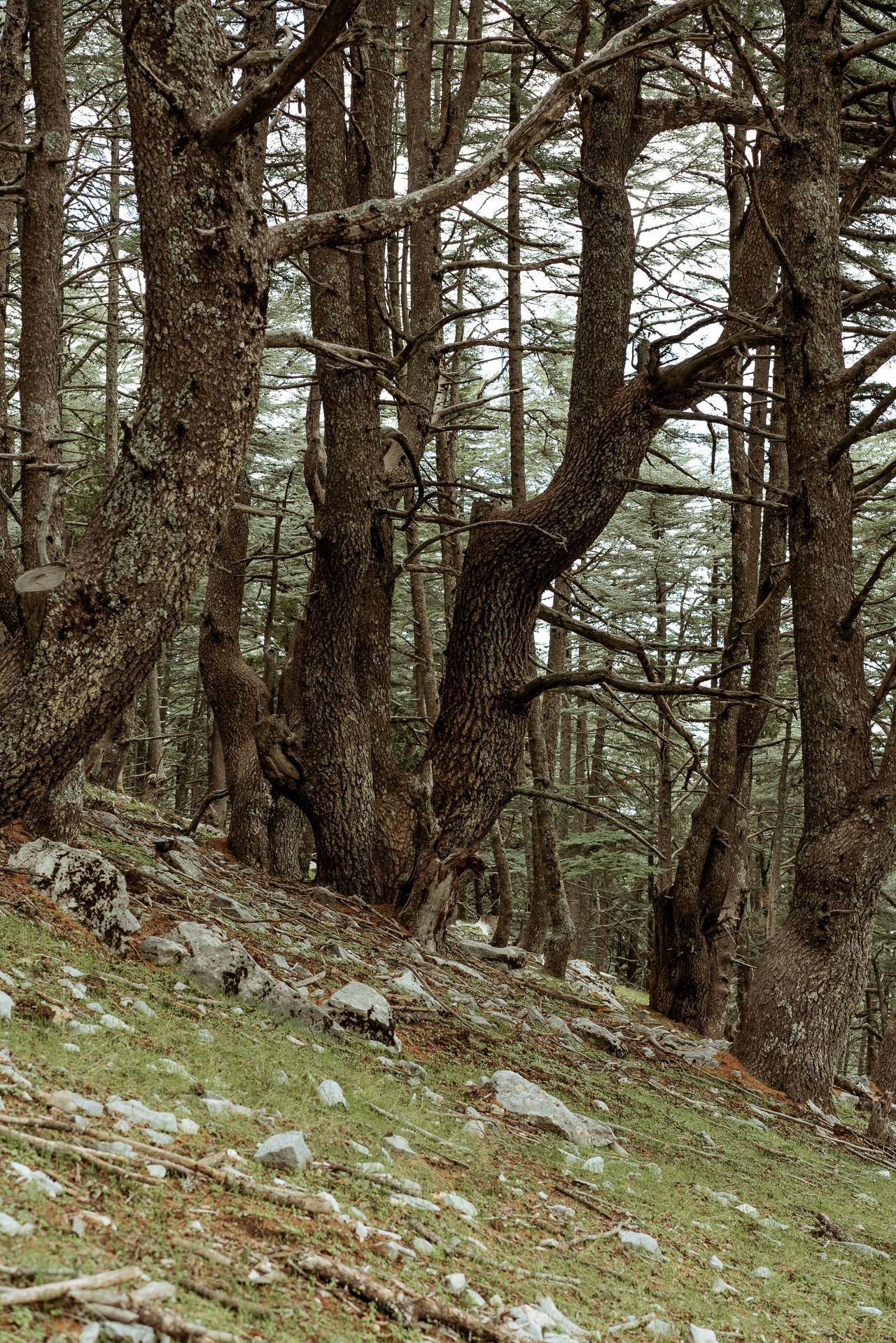 Hedonism Cycling Camp 2021 #cycling. Photographer Evgeniya Dovgalyuk