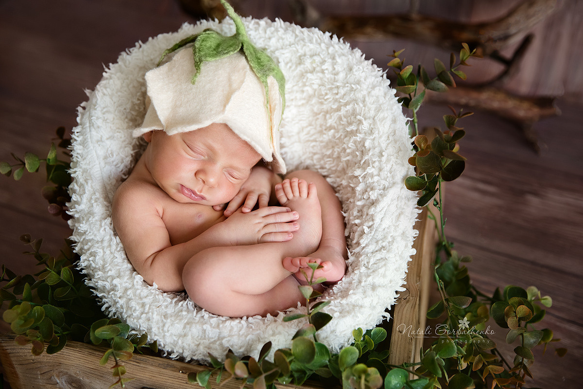 Новонароджені малюки. Дитячий, сімейний, а також newborn фотограф і викладач у Києві Наталія