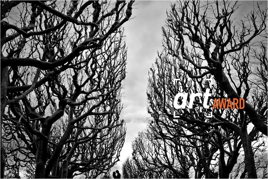 FINEART ASSOCIATION. Wedding photographer in Orlando, Boston & New York Anderson Marques