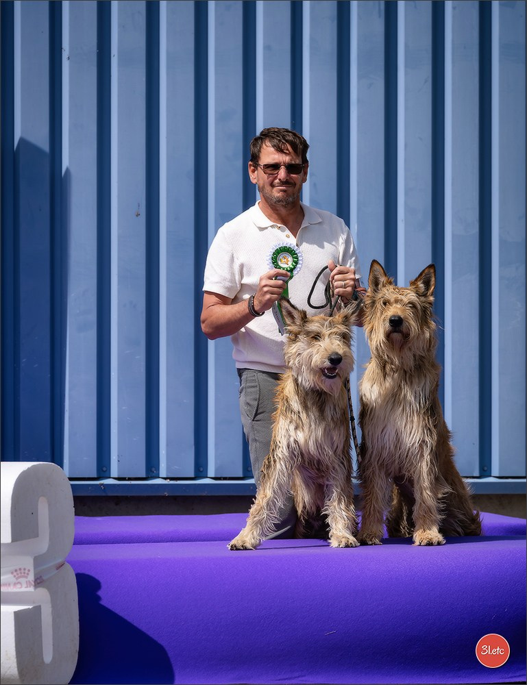 Expo canine 🇫🇷 Valence 02-03/05/2026