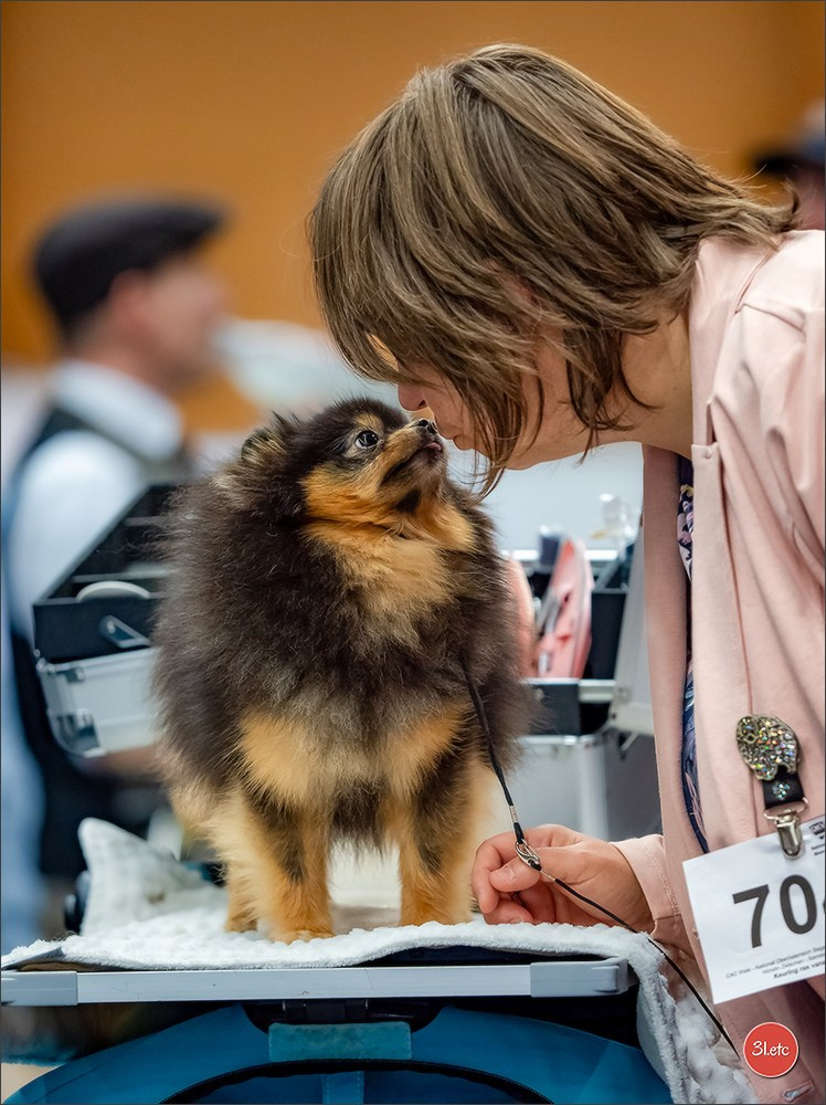 Dog Show WELS   🇦🇹  06-07/12/2025. Photographe à Strasbourg | Portraits, Studio, Enfants, Événements