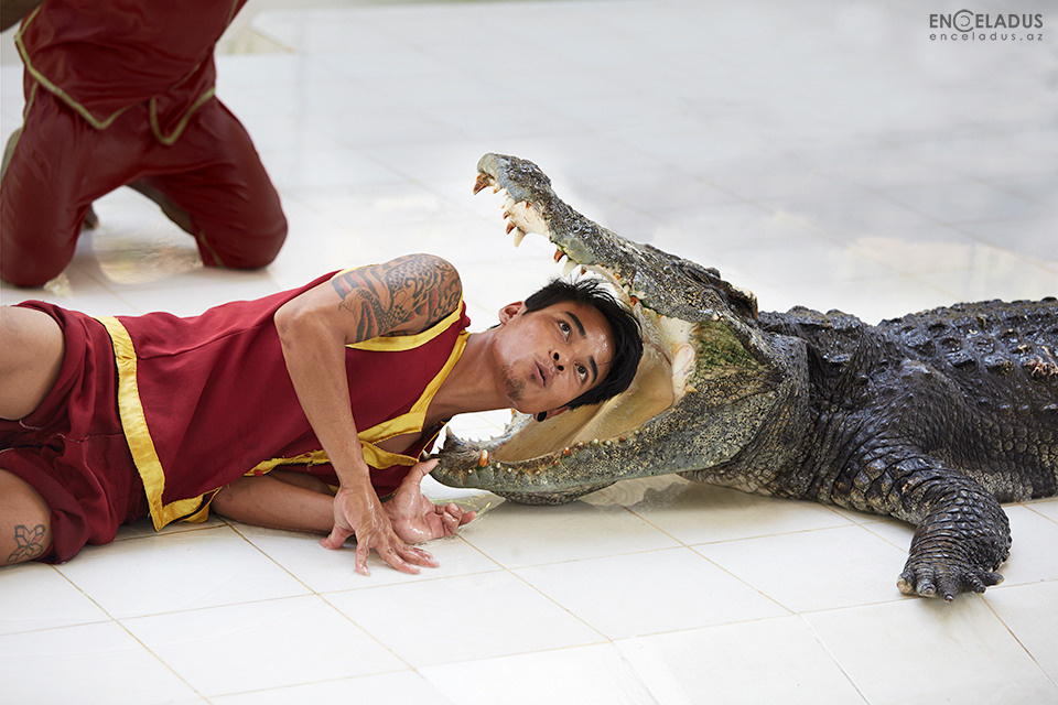 Səyahətlər. Bakıda fotoqraf Kamran Enceladus
