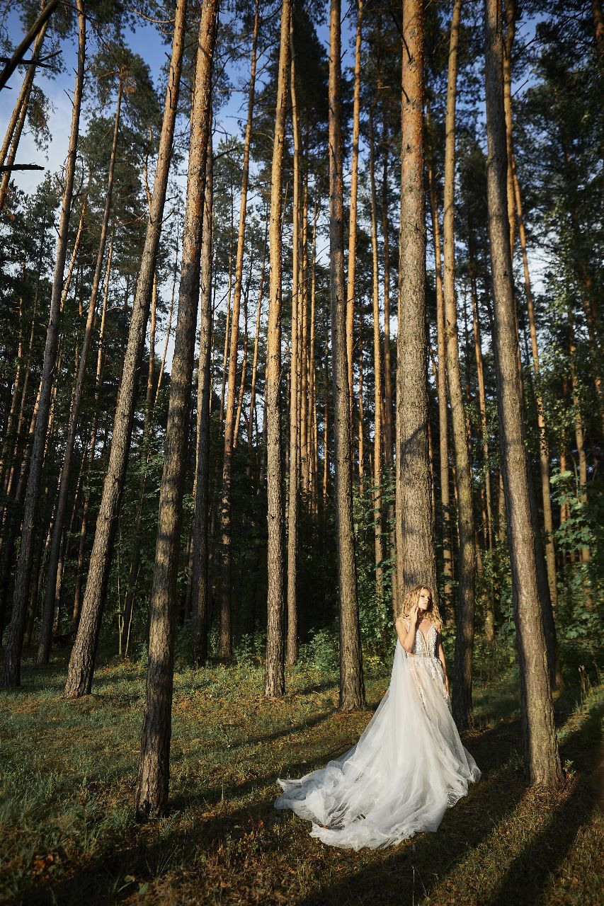 Свадебное портфолио. Фотограф в Баку Kamran Enceladus