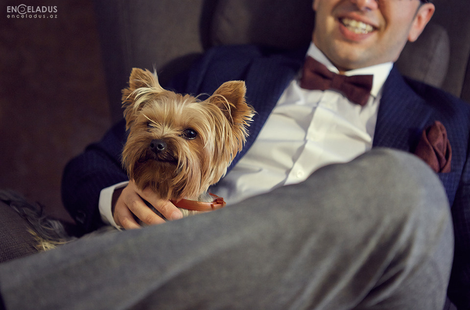 Свадебное портфолио. Фотограф в Баку Kamran Enceladus