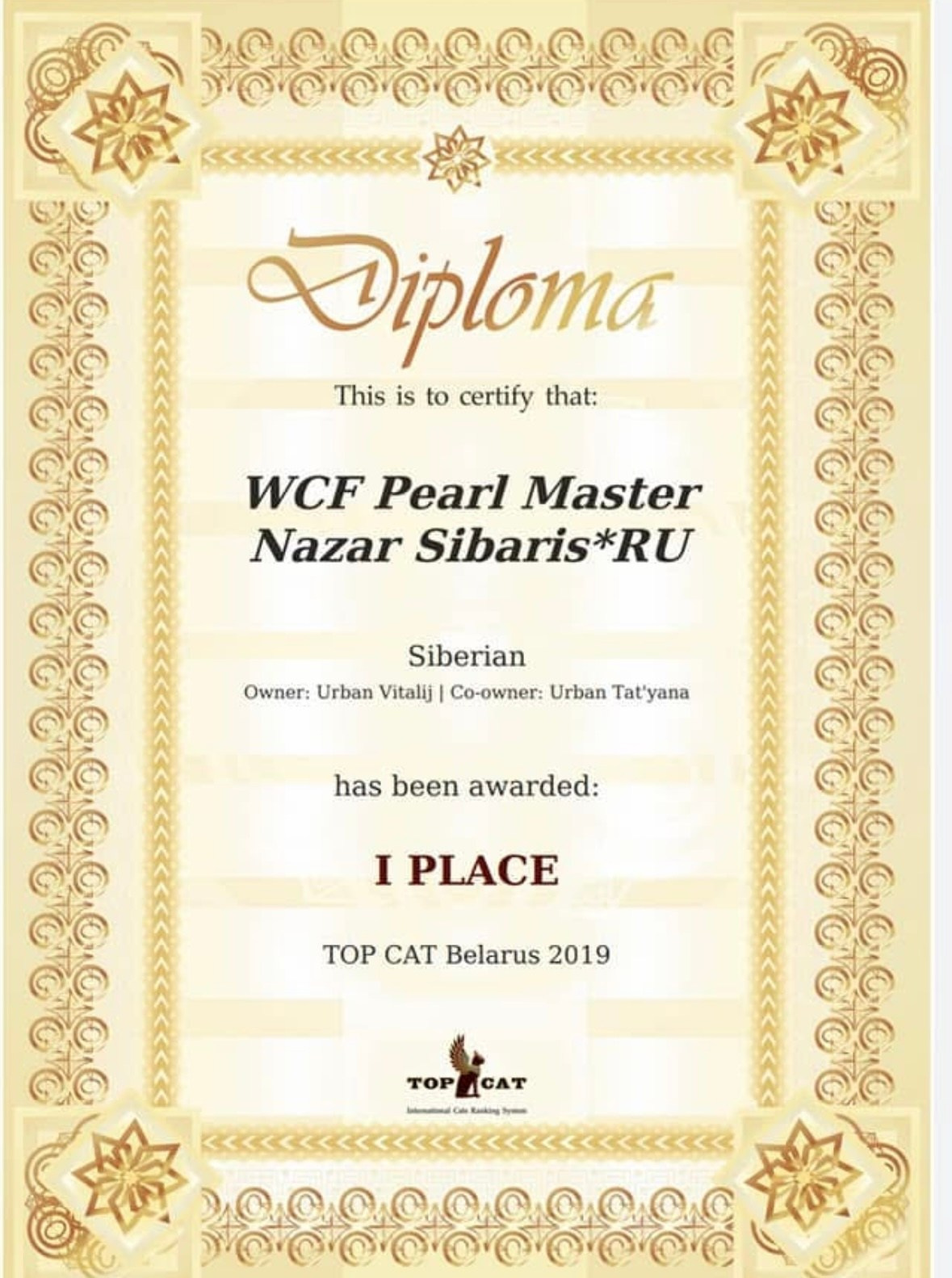 LEMON GREEN SIBERIANS NAZAR