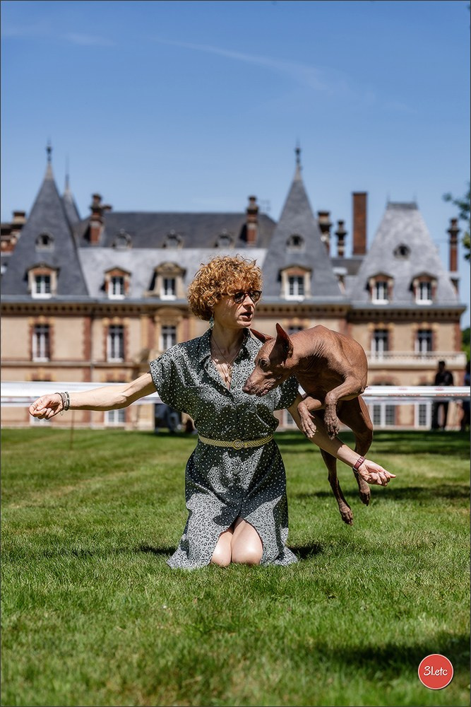 🇫🇷  CHARTRES  🇫🇷  2026  🇫🇷  Exposition Canine Nationale - Château des Boulard
