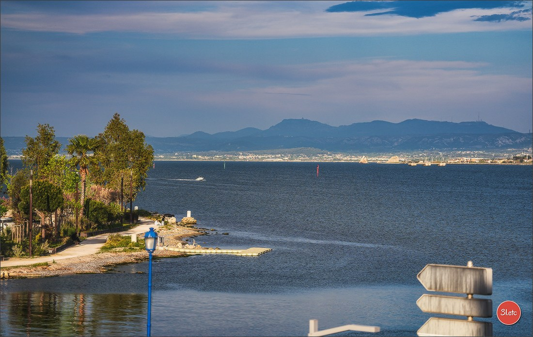 Martigues  🇫🇷. Photographe à Strasbourg | Les animaux, Portraits, Studio, Événements