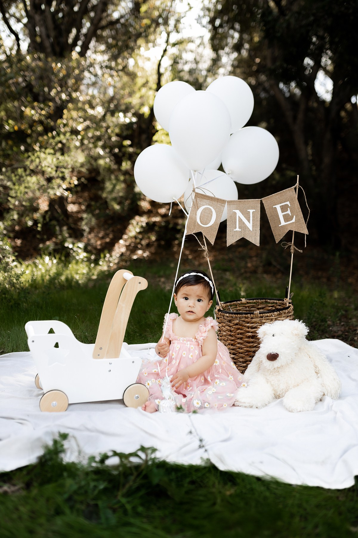 First year & Cake Smash. Family photographer in Bay Area, California