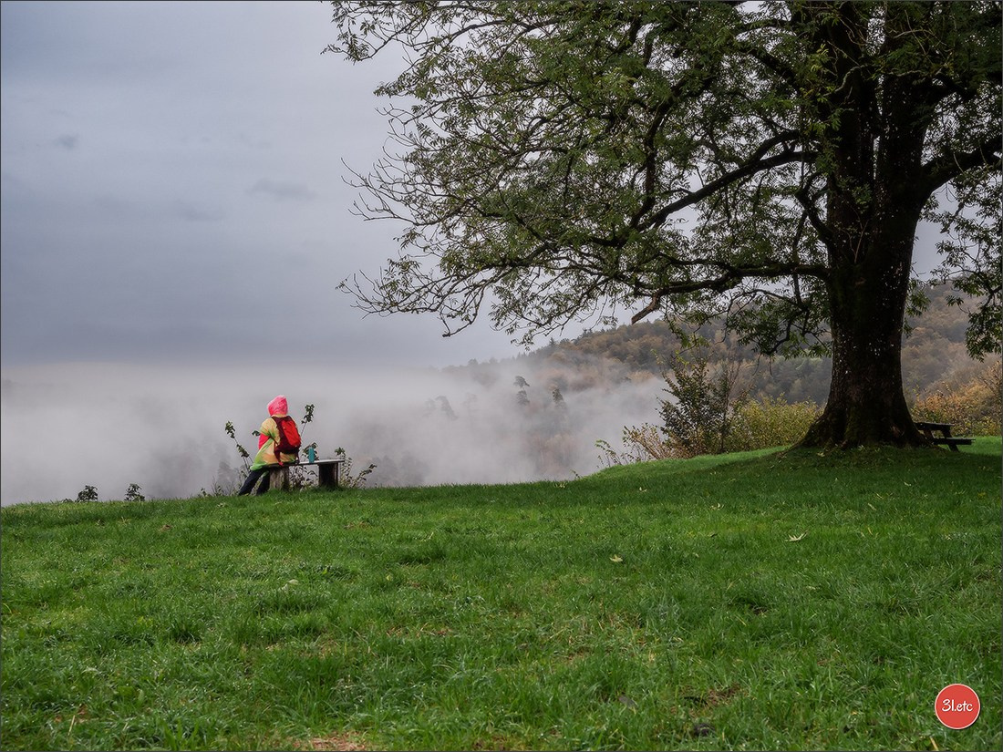 Ретрит в Эльзасе с Марией Ланг. Photographe à Strasbourg | Portraits, Studio, Enfants, Événements