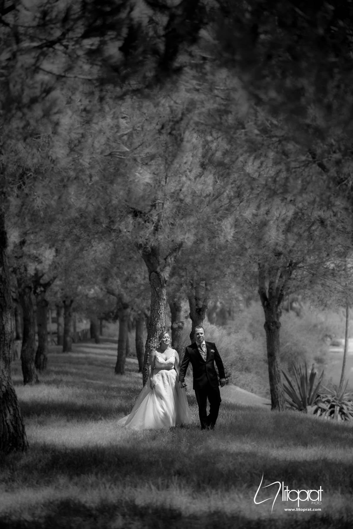 BODA. Lito Prat - Fotografía Social y de Eventos en Cádiz