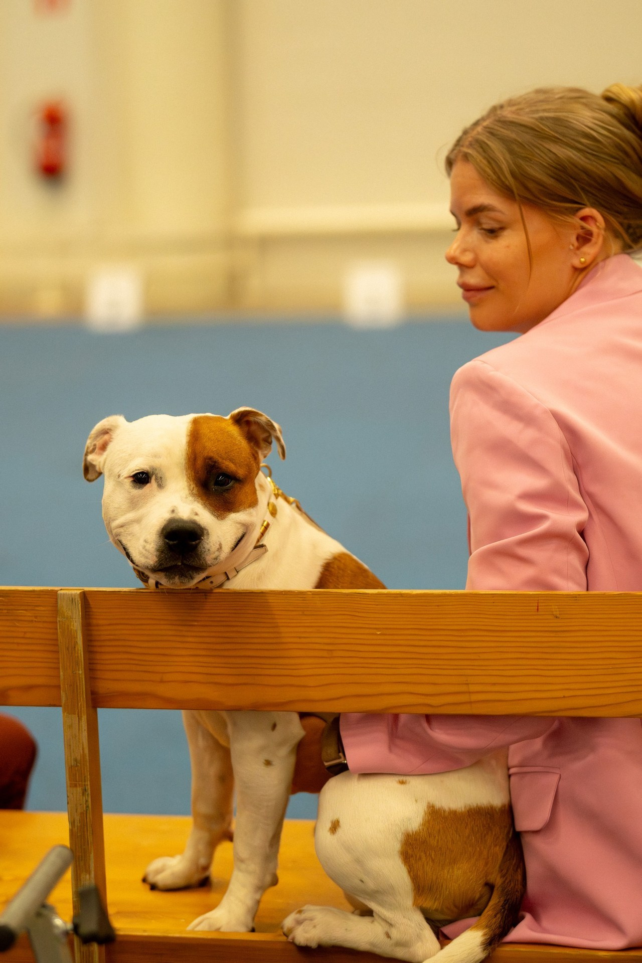 Testimonials. Kat Laisaar — Pet photographer in Tallinn