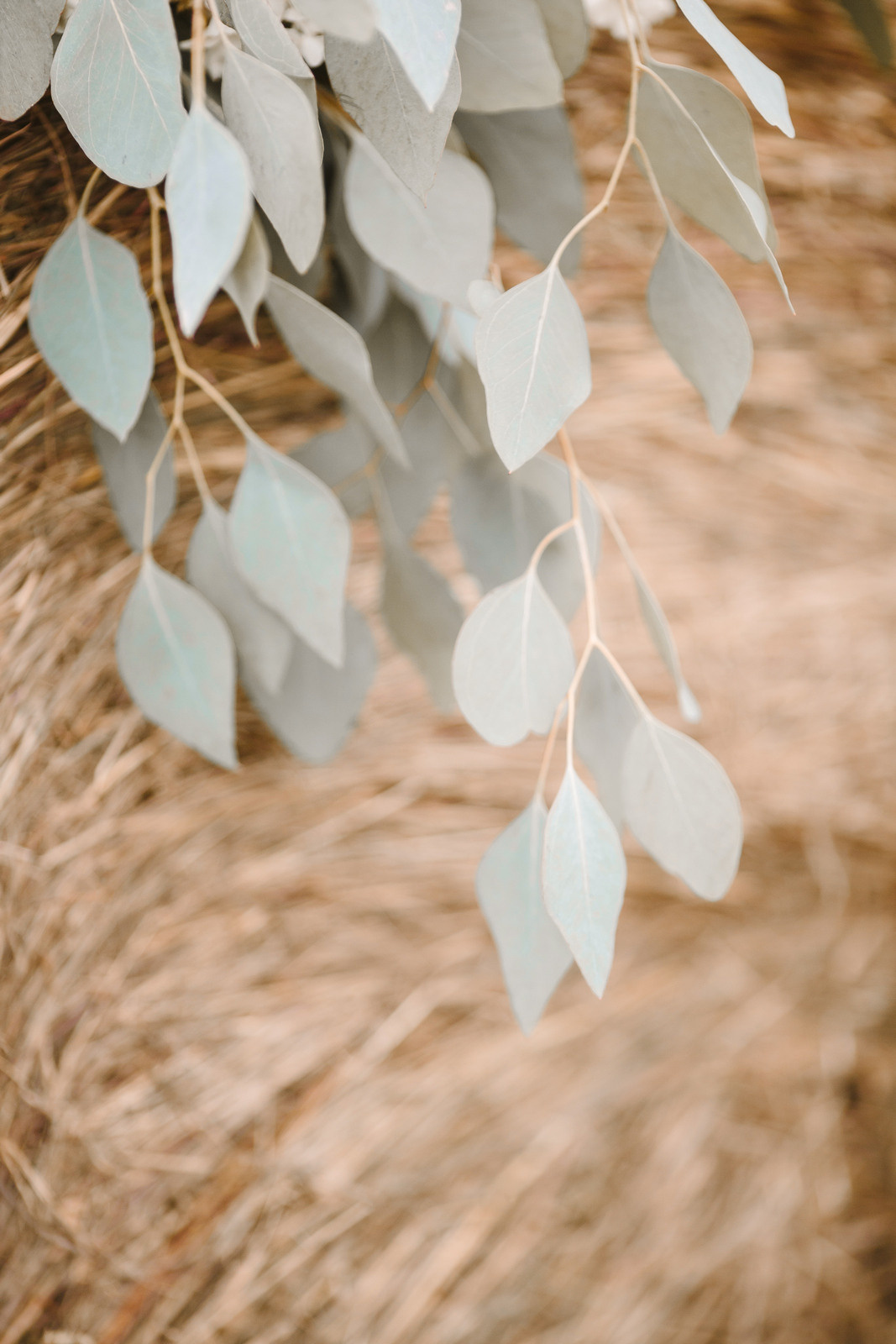 Elopement in Stacks of Hay. Wedding Photography & Videography Team in California, Los Angeles, San Francisco, San Diego and Travel
