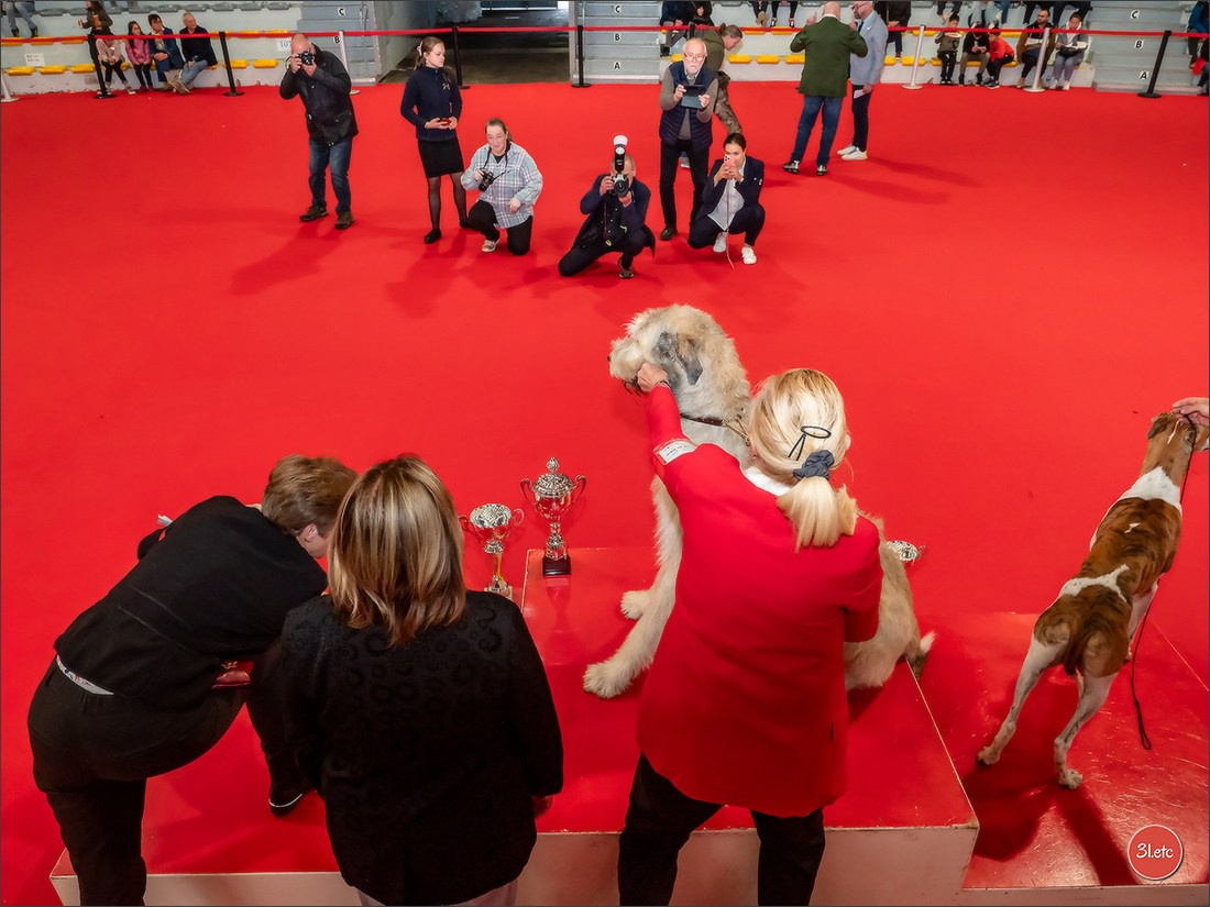 Expo canine 🇫🇷 Poitiers 18-19/10/2025. Photographe à Strasbourg | Portraits, Studio, Enfants, Événements