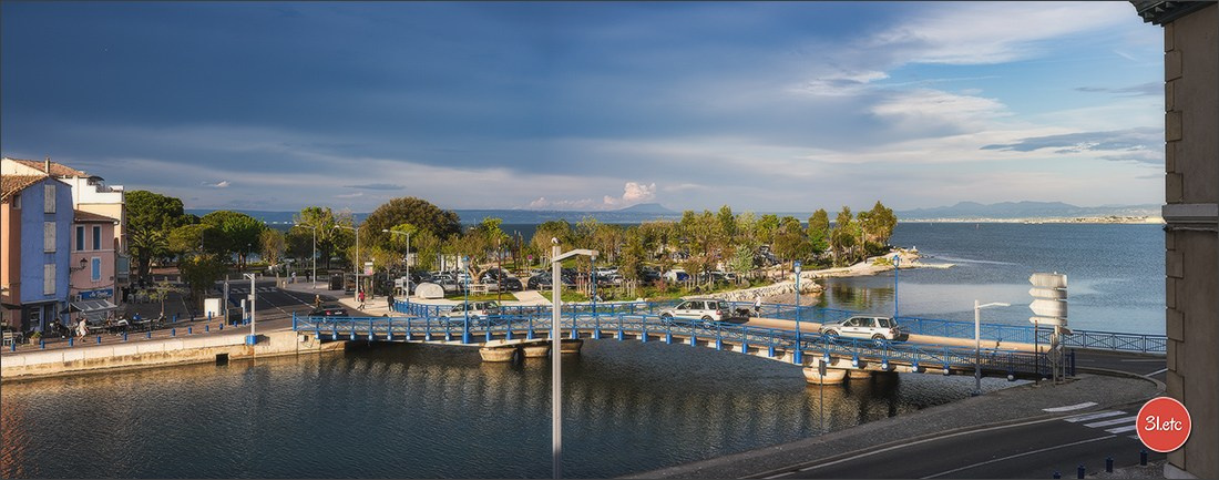 Martigues  🇫🇷. Photographe à Strasbourg | Les animaux, Portraits, Studio, Événements