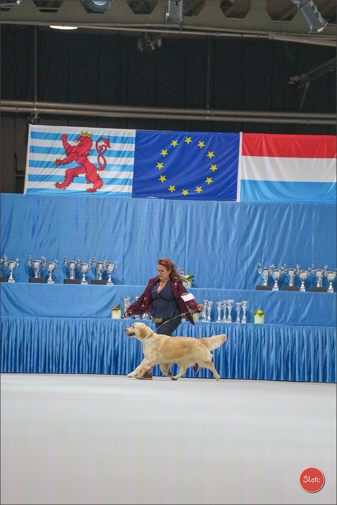 🇱🇺 LUXEMBOURG 🇱🇺 International Dog Show 4-5/04/2026. Photographe à Strasbourg | Portraits, Studio, Enfants, Événements