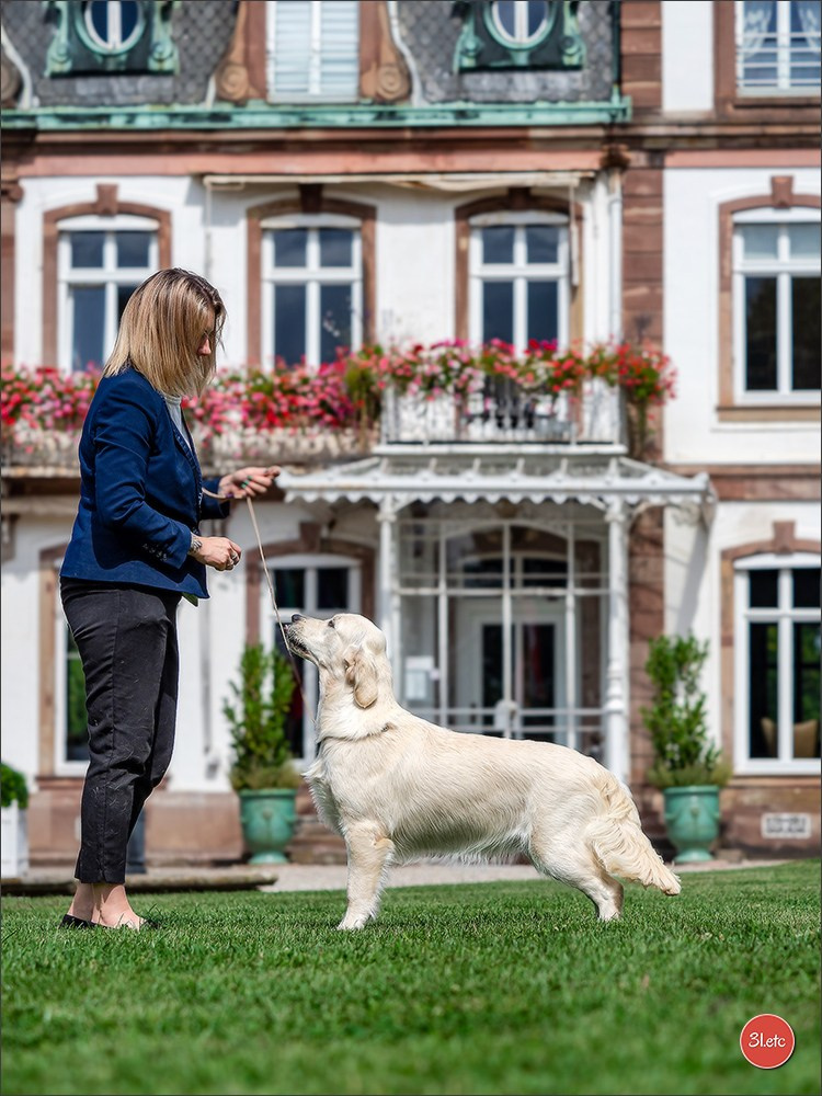 Expo canine Strasbourg  🇫🇷  23-24/08/2025. Photographe à Strasbourg | Portraits, Studio, Enfants, Événements