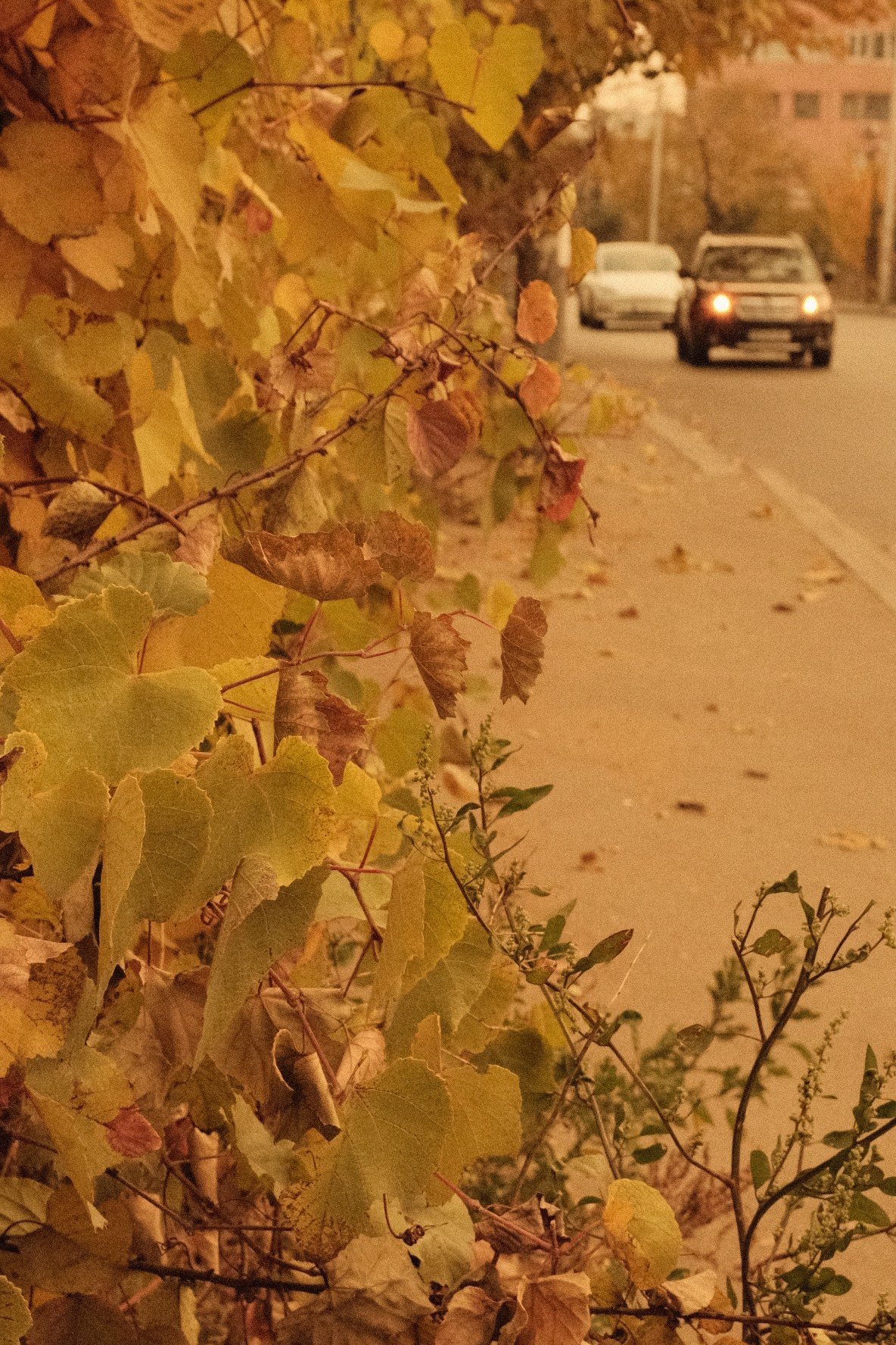 OLD & WARM. @Gio.Fujifilm official Fujifilm Ambassador & X-Photographer in Georgia