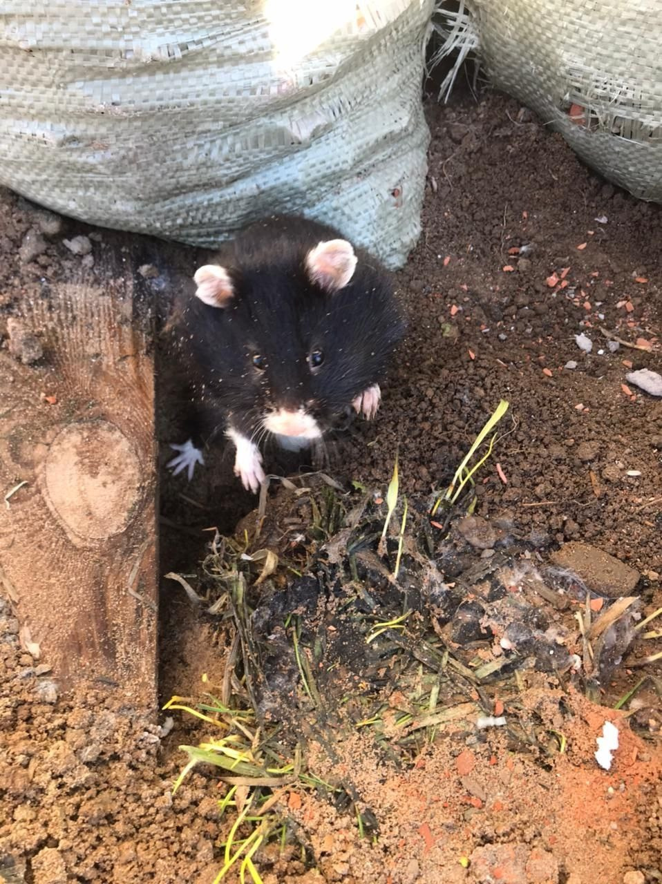 Ремонт и Дизайн Интерьера Одноэтажного Коттеджа для Молодой Семьи. Change4Life: медитации, выгорание, мягкие навыки, ретриты