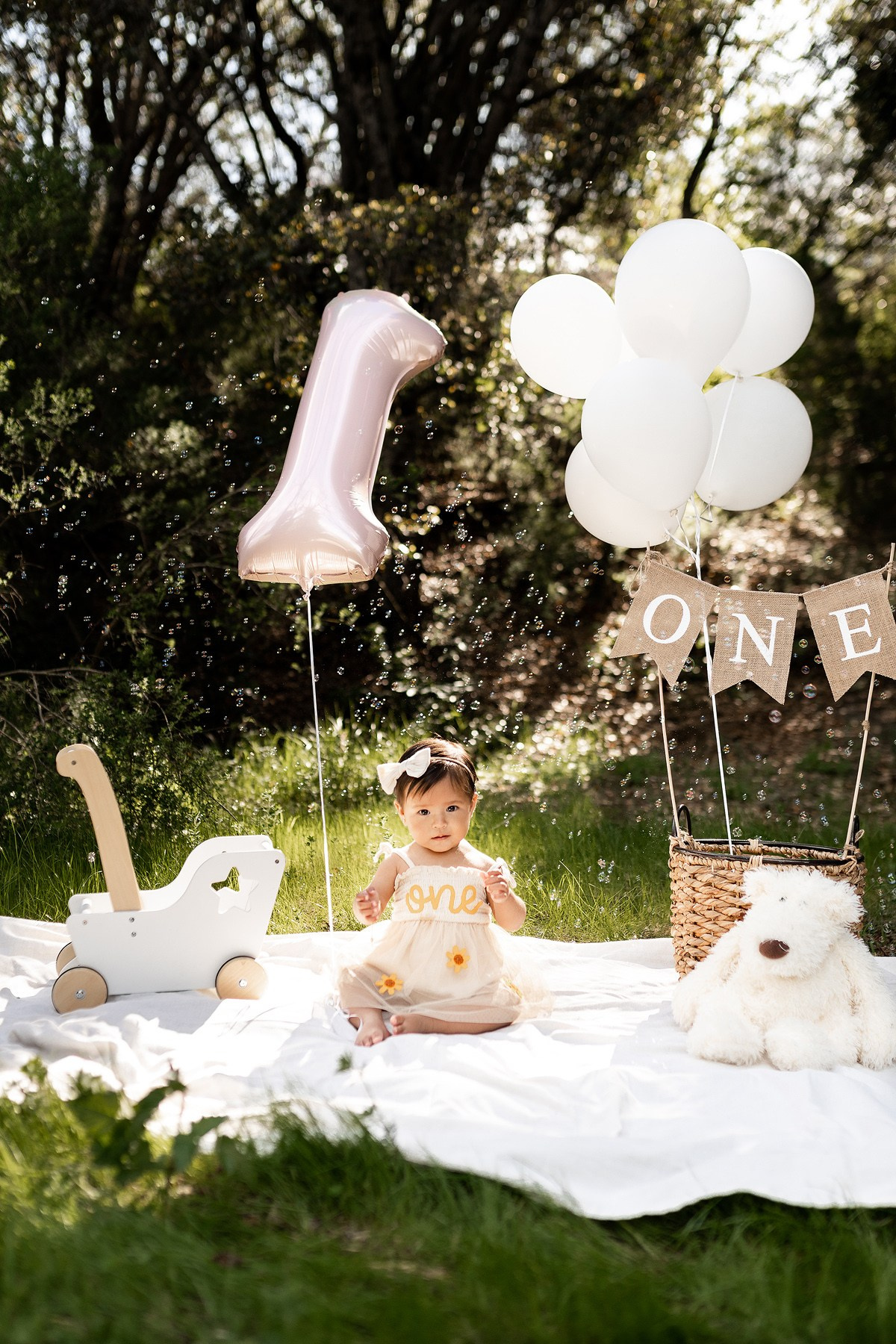 First year & Cake Smash. Family photographer in Bay Area, California