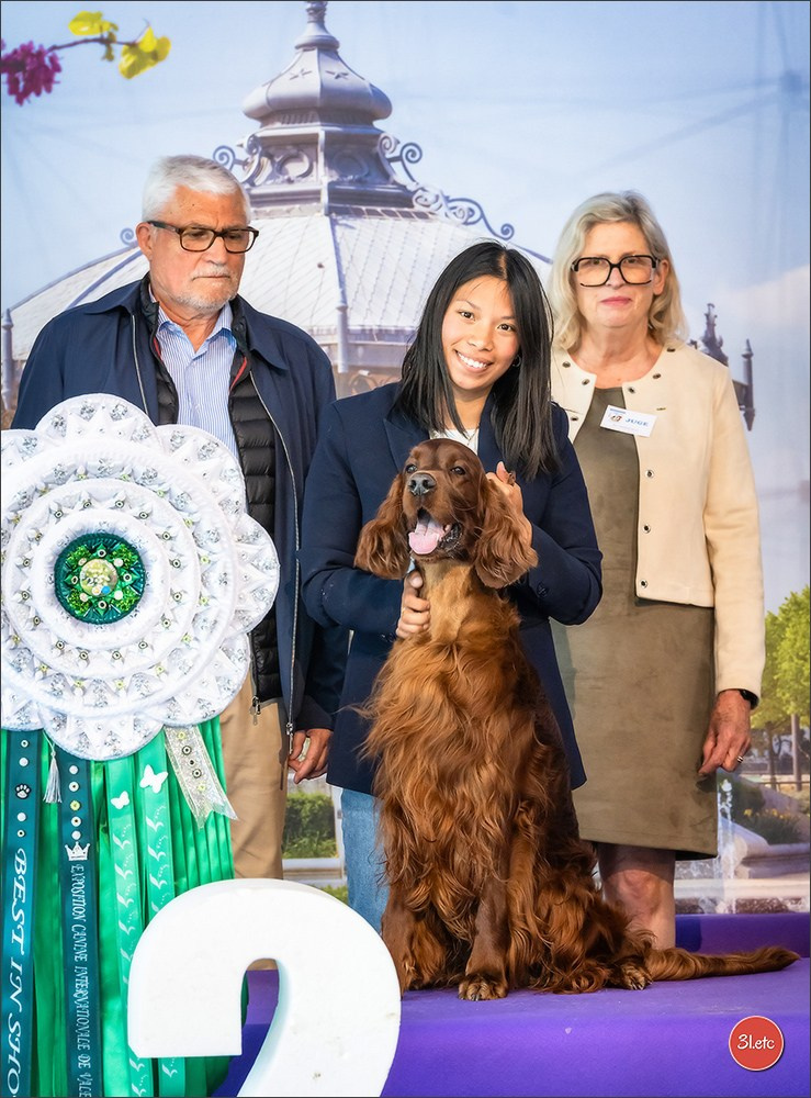 Expo canine 🇫🇷 Valence 02-03/05/2026
