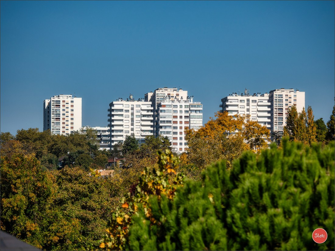 Poitiers 🇫🇷. Photographe à Strasbourg | Portraits, Studio, Enfants, Événements