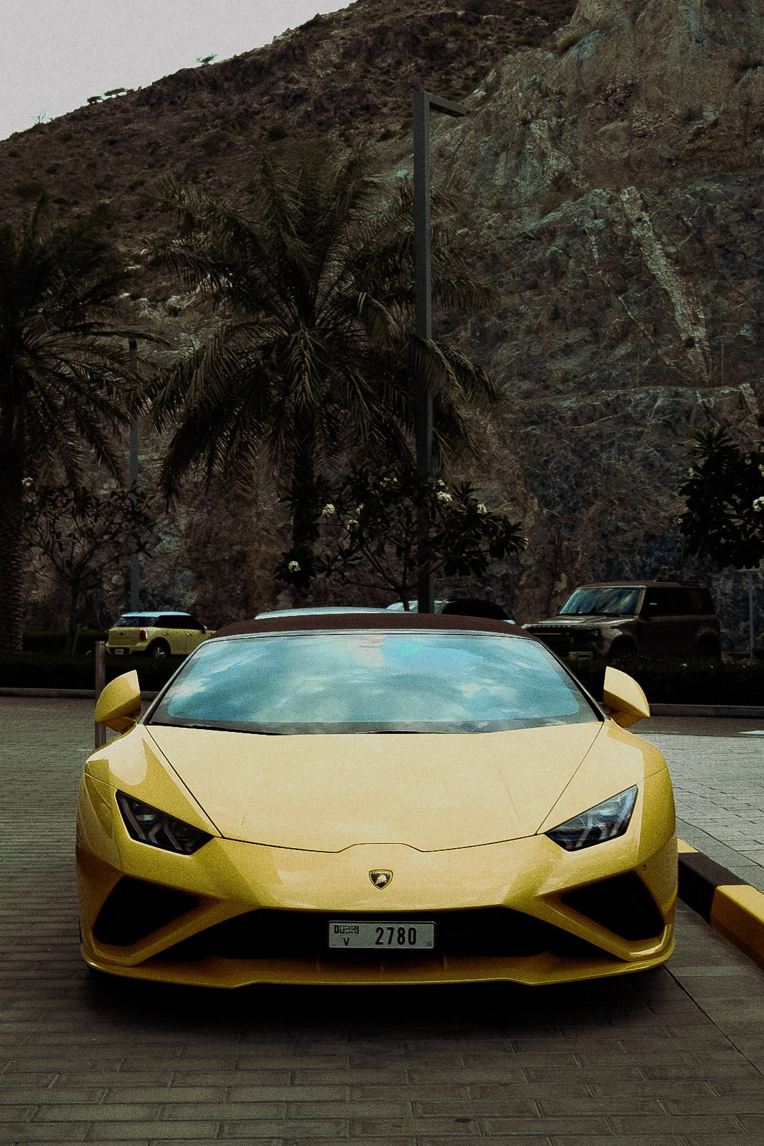 Auto. Julia Erina photographer Dubai