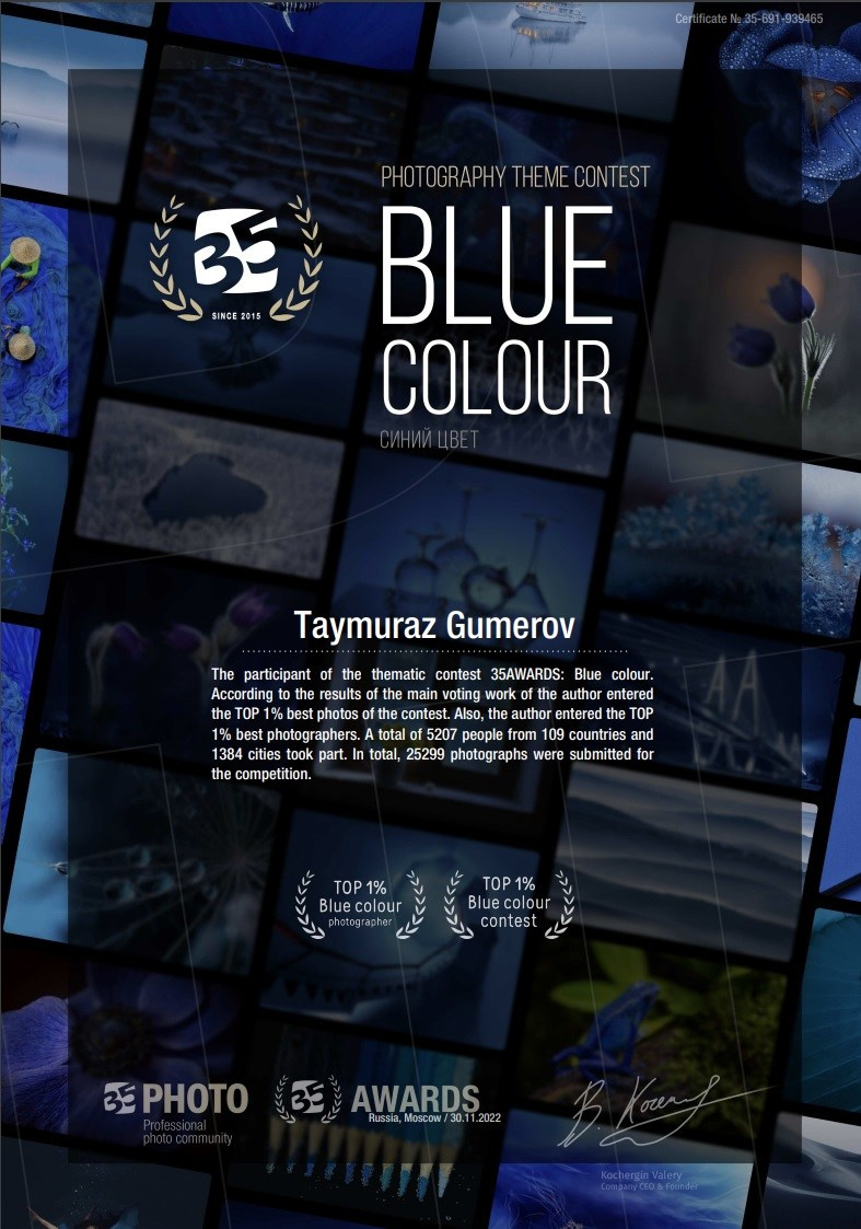 My Awards. Портретен и будоар фотограф в София | Таймураз Гумеров