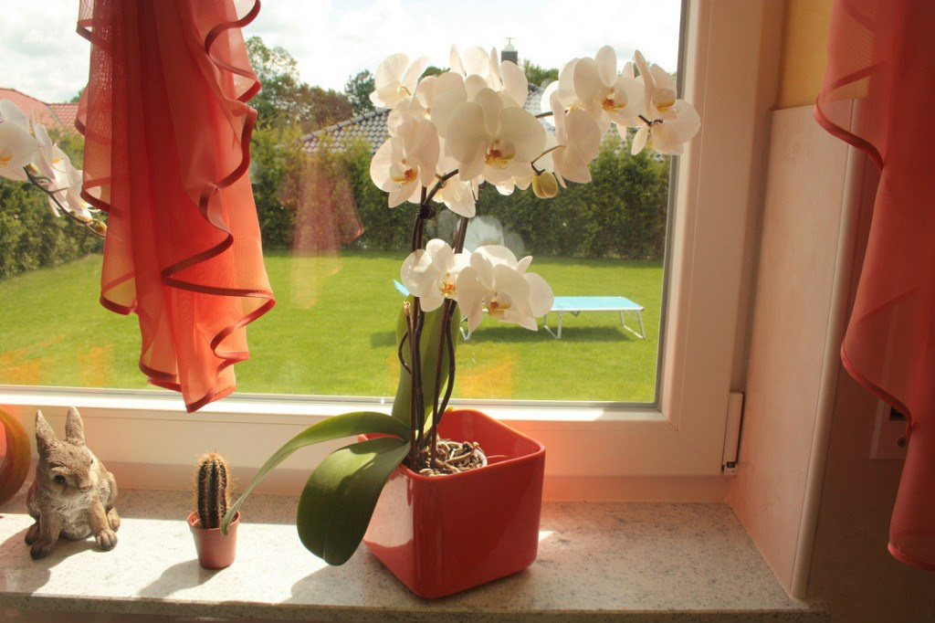 С чего всё начиналось / Wie alles begann →. Oksana Paul-Gardinen-Design Oksana Paul ✧ Art of Gardinen & Textile Design ✧ Polymer Clay Art & Handmade Creatures