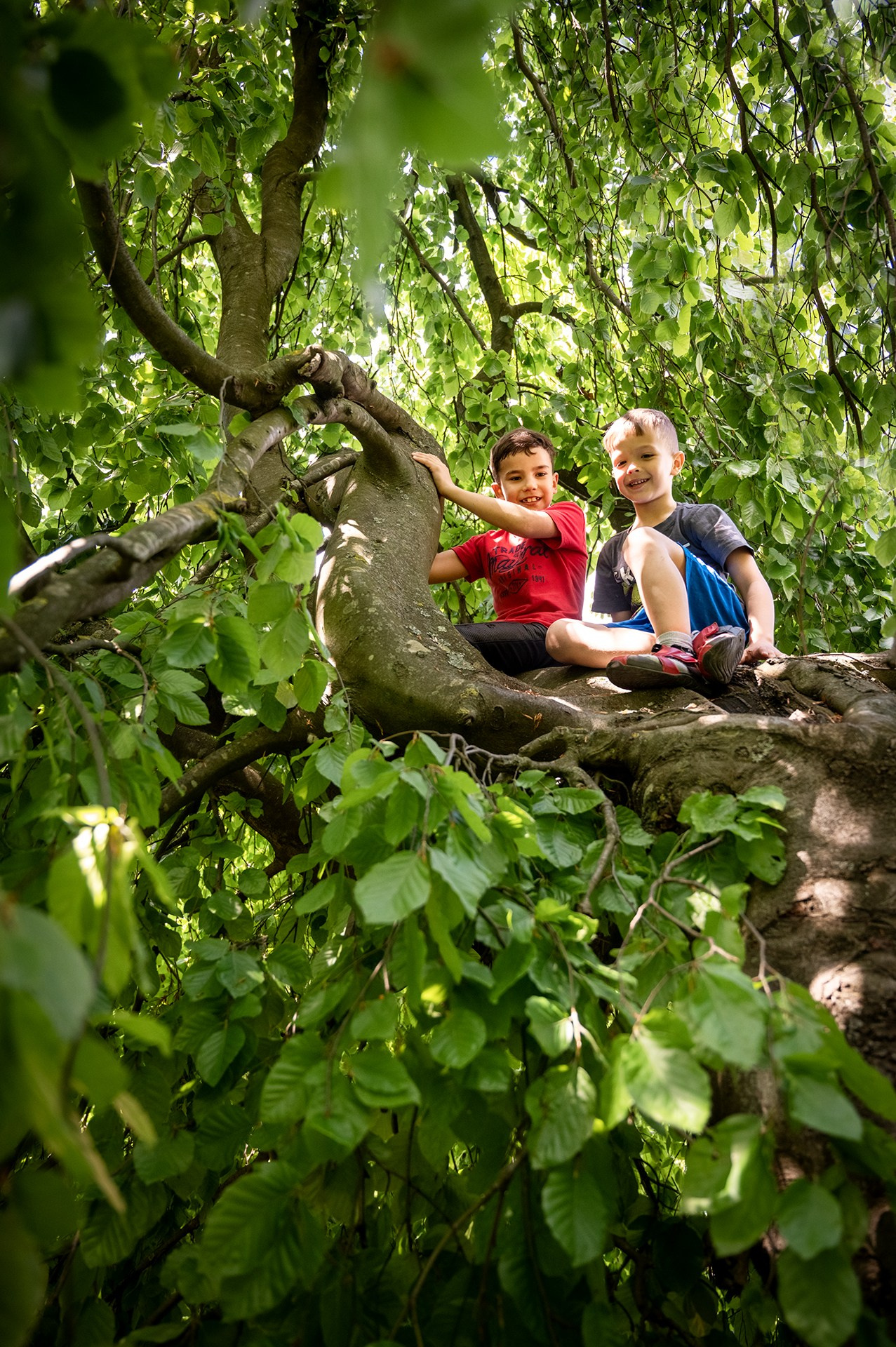 KINDER. Familien- und Hochzeitsfotograf Shestak Ivan