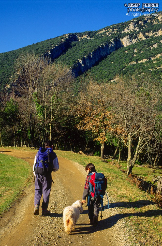 La Plana de Riu, La Garrotxa, Catalunya