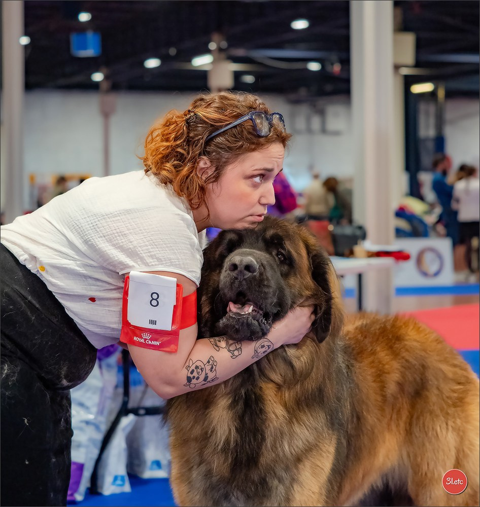 🇫🇷  Angers  🇫🇷  Expo canine  21-22/03/2026. Photographe à Strasbourg | Portraits, Studio, Enfants, Événements
