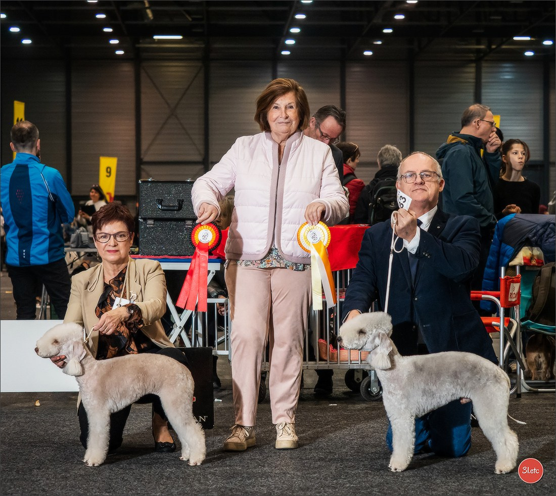 Photographie animalière. Photographe à Strasbourg | Portraits, Studio, Enfants, Événements