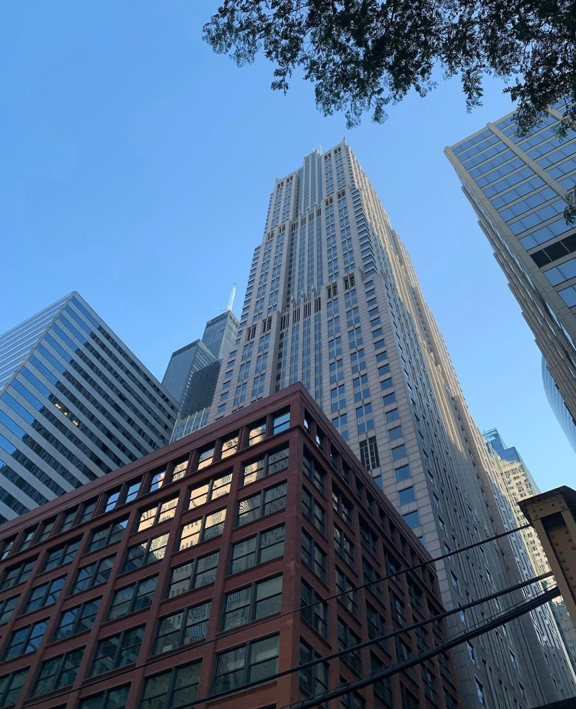 Lens Work From the Field 3