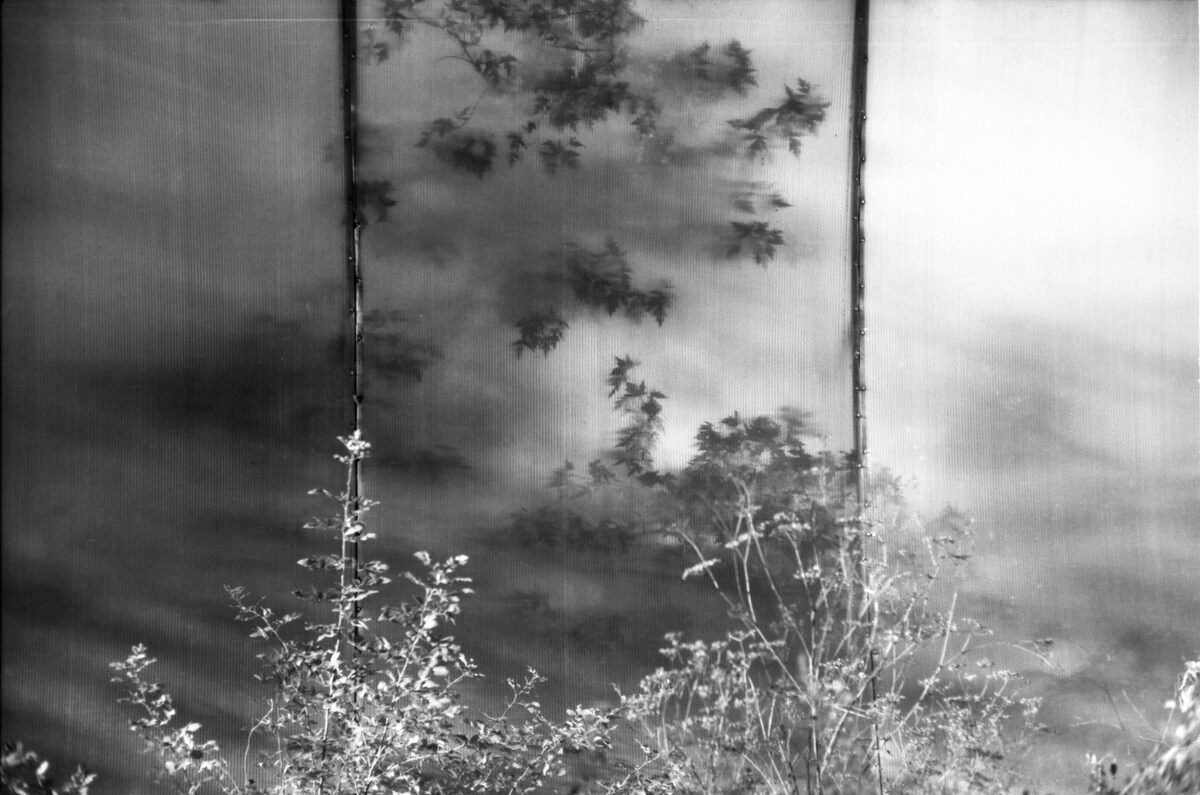 Garden of stones. Natalia Parfenova visual artist film photographer