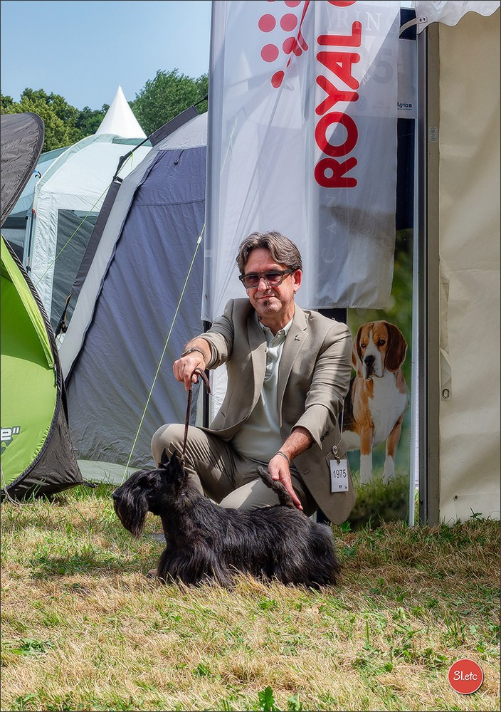 Championnat de France du chien de race  🇫🇷  DIJON (château de Brognon) 7-8/06/2025. Photographe à Strasbourg | Portraits, Studio, Enfants, Événements