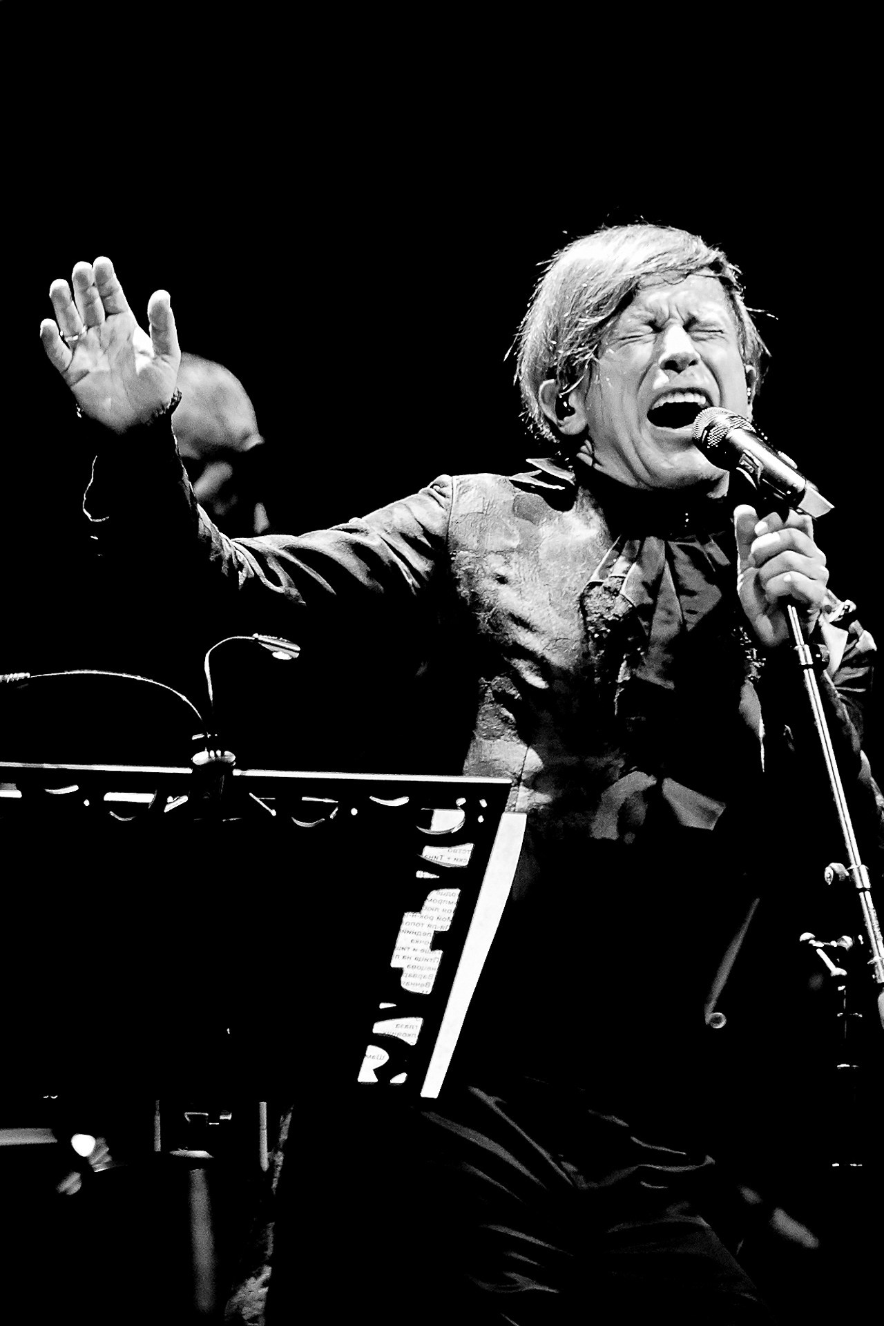 Concert. Ruslan Sereduk Photographer