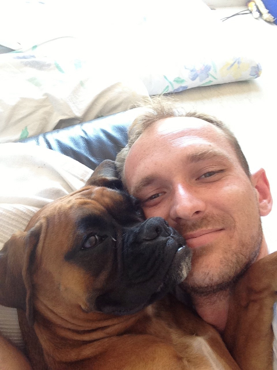 My ״Star״ Boxer Dog